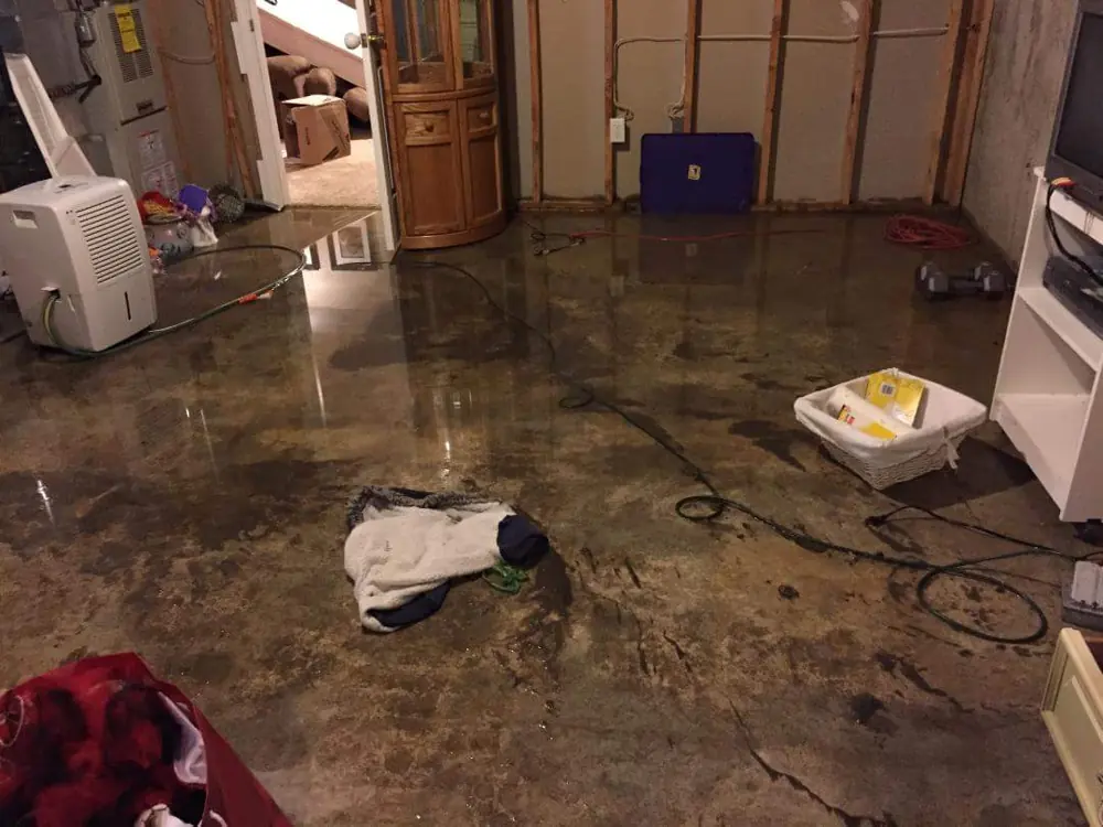 Water damage restoration crew working in Orlovista, FL