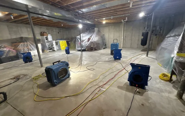 Basement Flood Cleanup in Ocoee, Florida