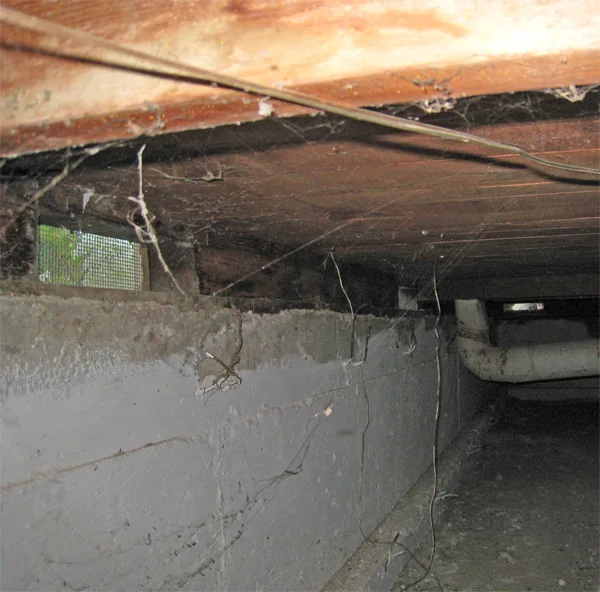 Crawlspace Water Removal in MetroWest, Florida