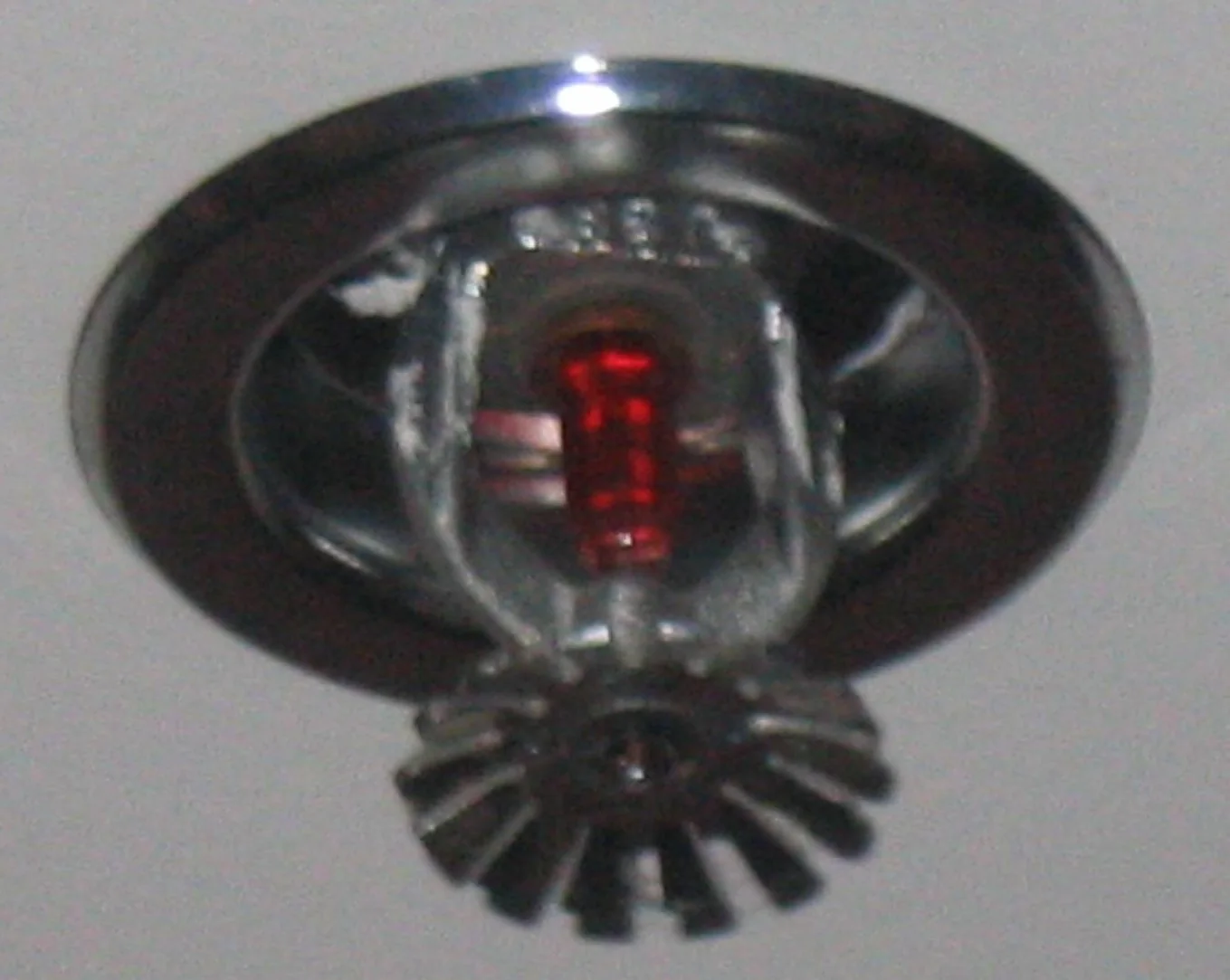 Fire Sprinkler Discharge in Ocoee, Florida