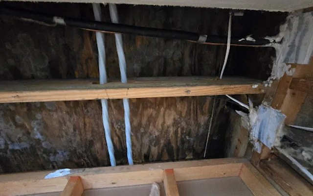 Attic Water Damage in MetroWest, Florida