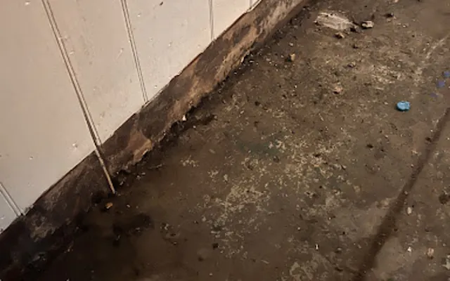 Drain Backup in Apopka, Florida