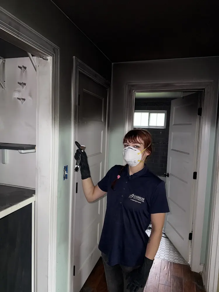 Damp Solving Water & Mold technician on a job in Orlando